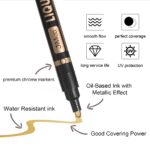 Waterproof Acrylic Markers Set ( (1)