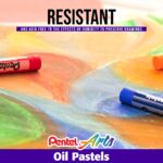 035-Oil pastels set for artists (1)
