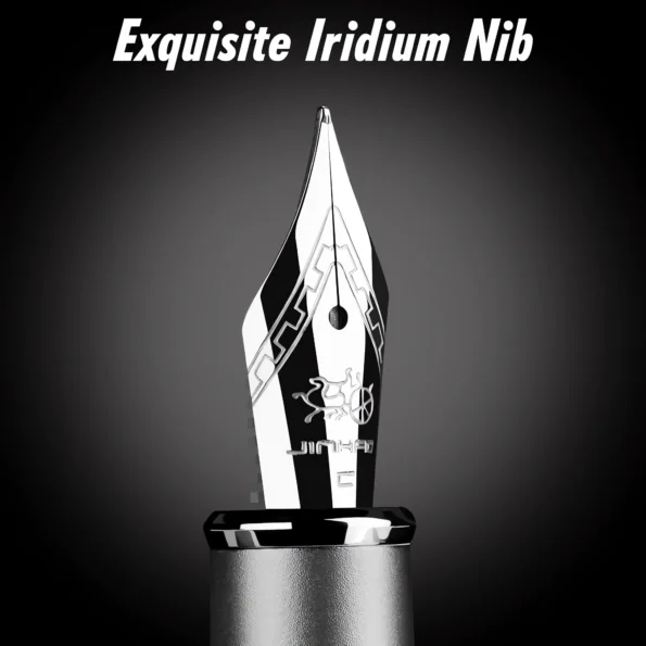 Fine nib fountain pen set