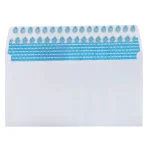 Security self seal envelopes no window (6)