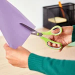 Stainless Steel Multipurpose Scissors Set (6)