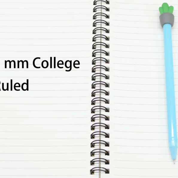 114-spiral notebook set