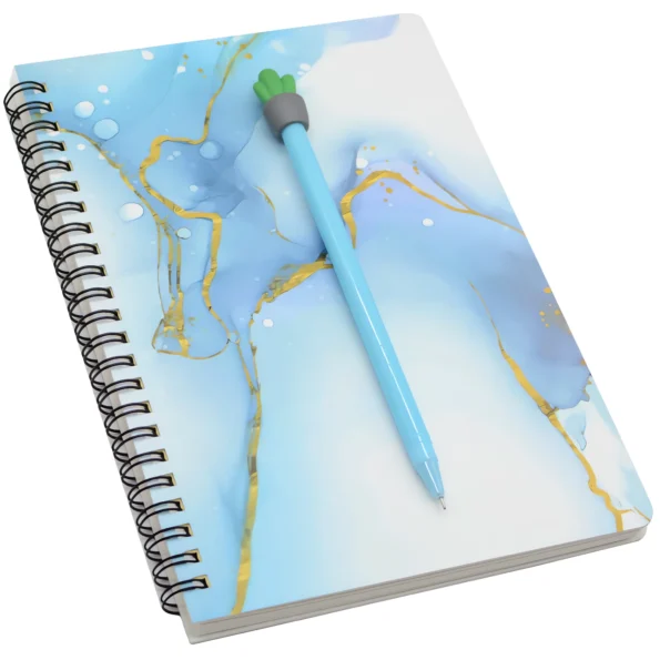 114-spiral notebook set