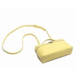 Crossbody Bag for Women (7)