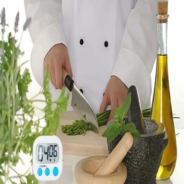 Digital kitchen timer magnetic back