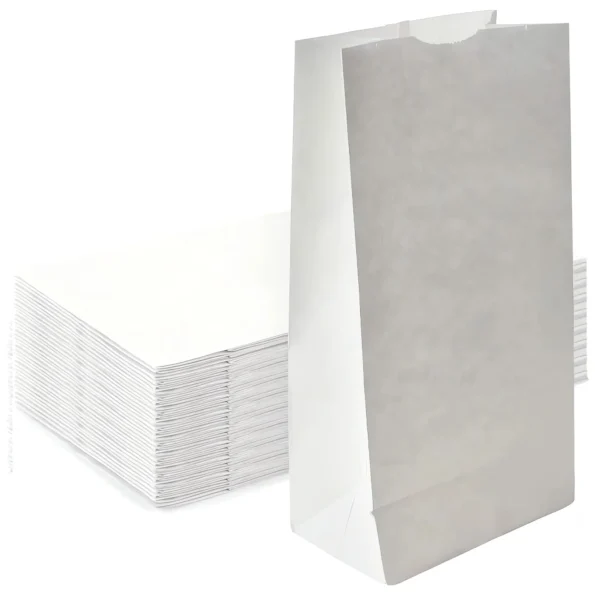 White paper lunch bags pack