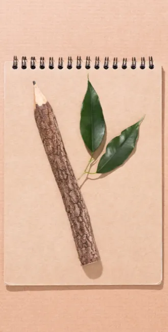 top-view-of-wooden-pencil-with-green-leaves-on-bla-2024-11-07-16-31-28-utc