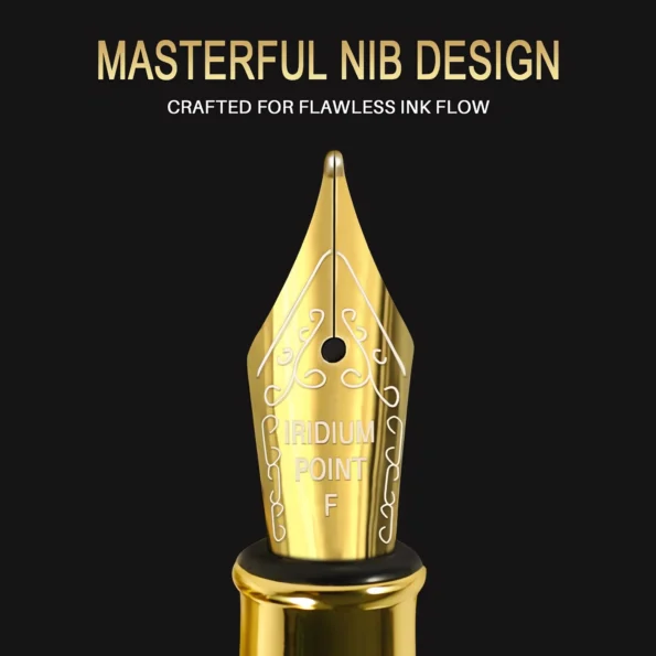 Luxury Fountain Pen Set